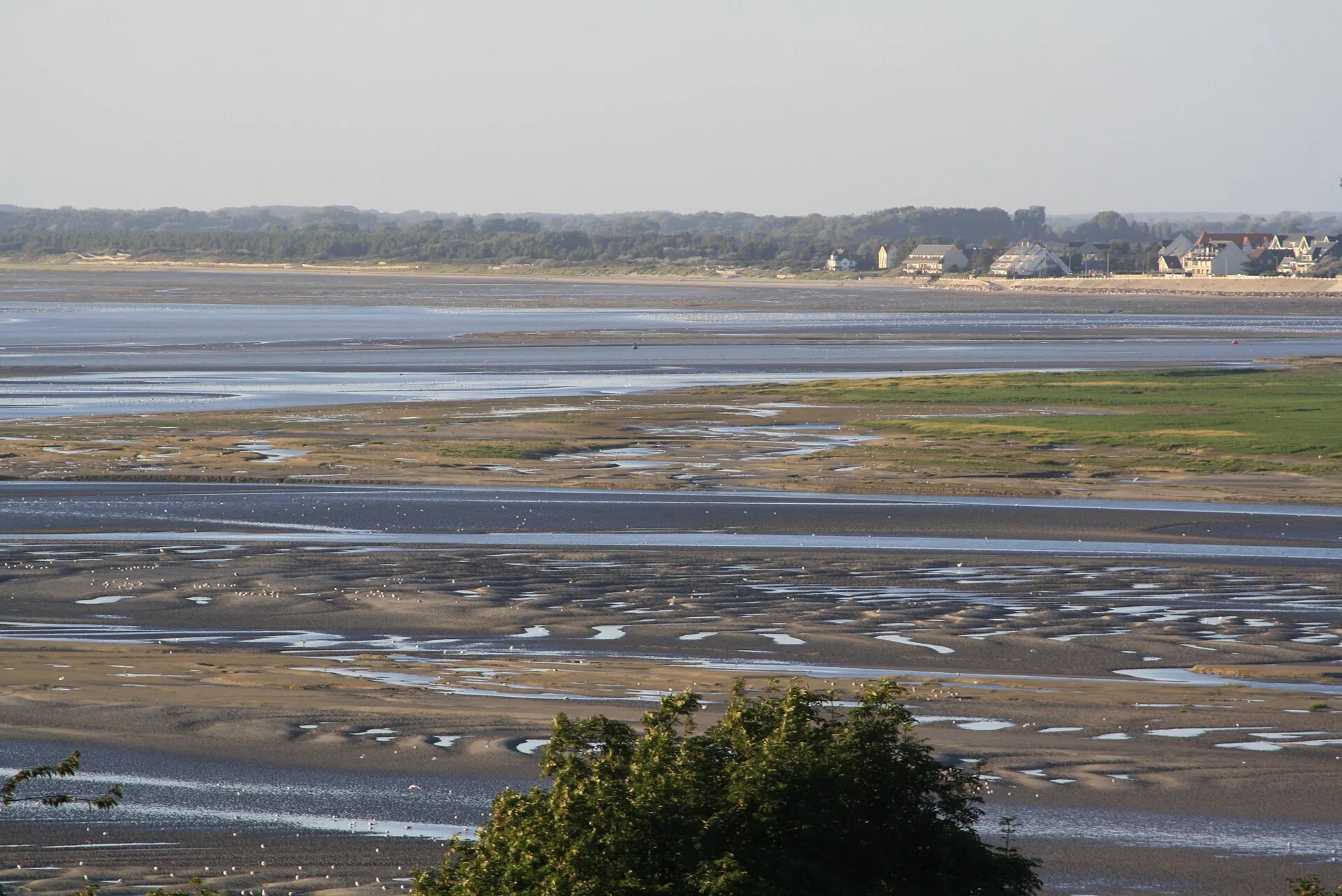 Combiner les phoques avec le reste de la baie