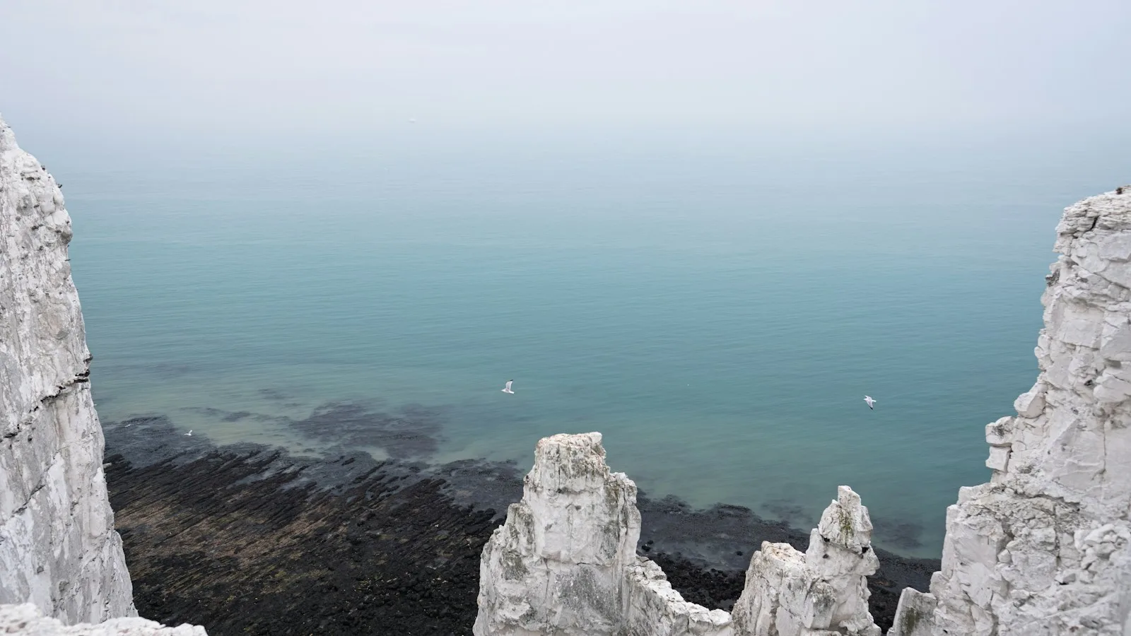 ️ Le cap Blanc-Nez : falaises de craie et panorama sur la Manche