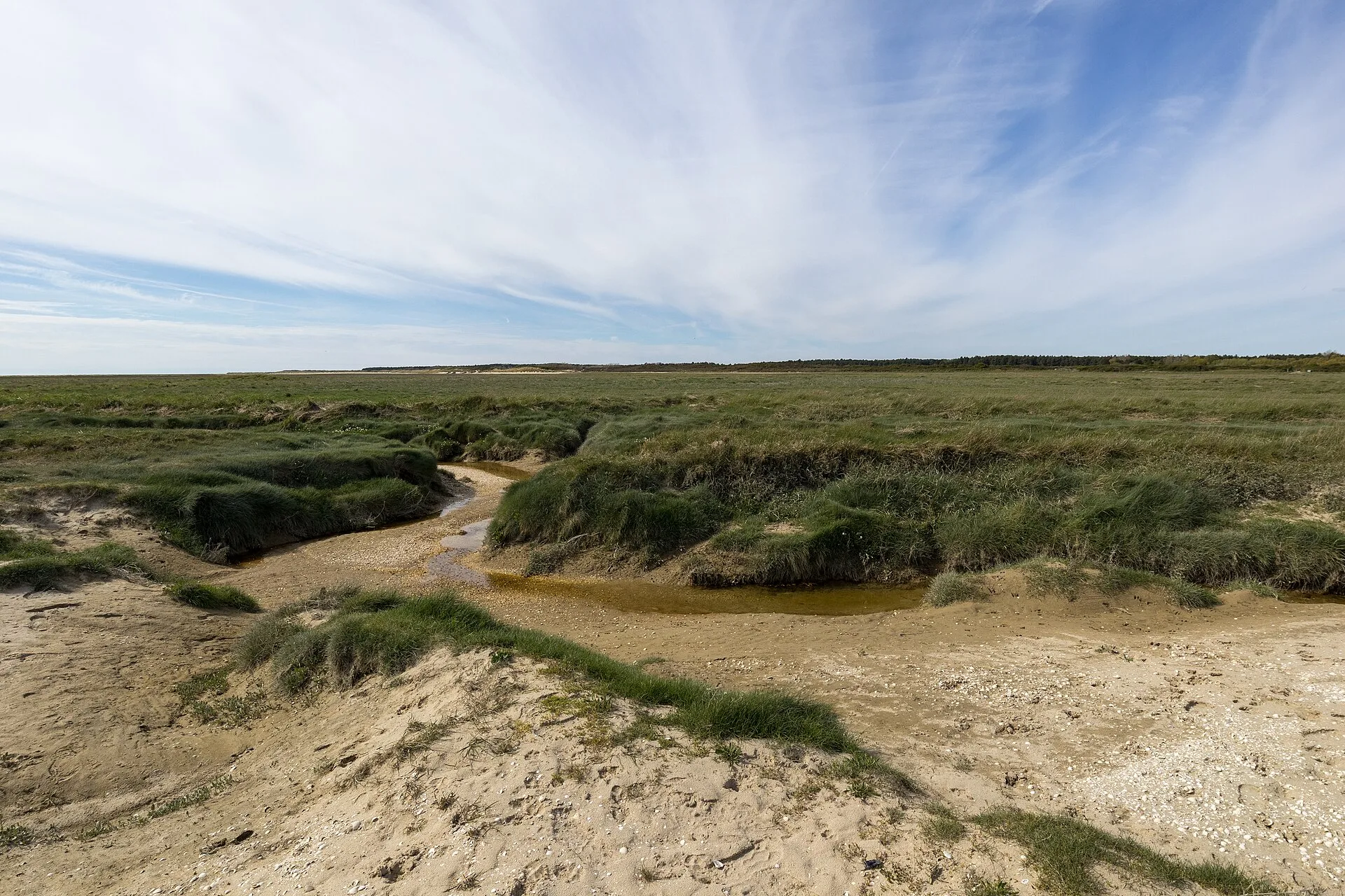 Paysage de la baie de Somme à marée basse